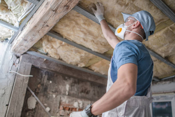 Best Energy Efficiency Insulation in Dassel, MN