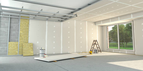 Best Cellulose Insulation in Dassel, MN