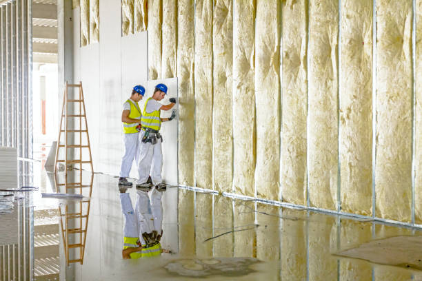 Types of Insulation We Offer in Dassel, MN